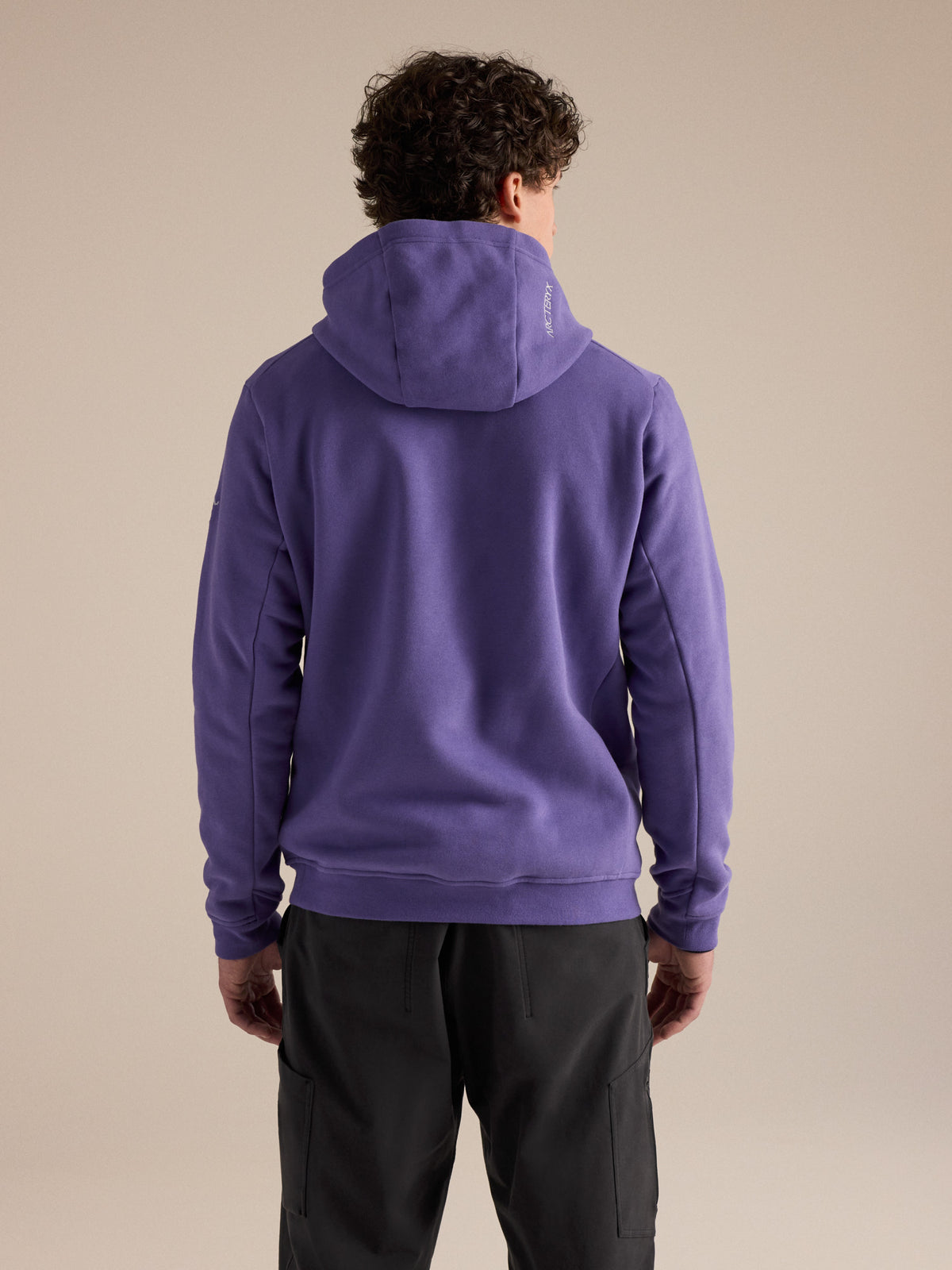Emblem Fleece Hoody Blurple Back View