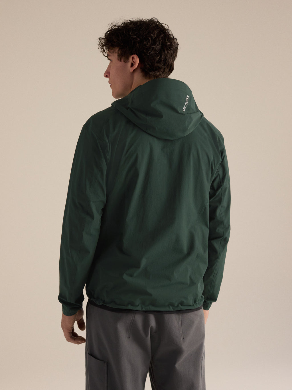 Gamma Lightweight Hoody Dark Jade Back View