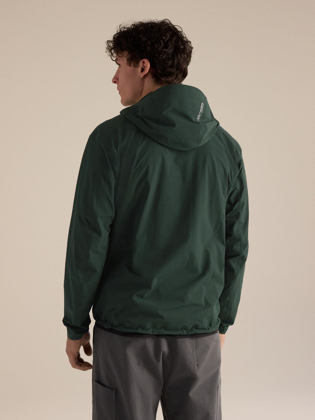 Gamma Lightweight Hoody Dark Jade Back View