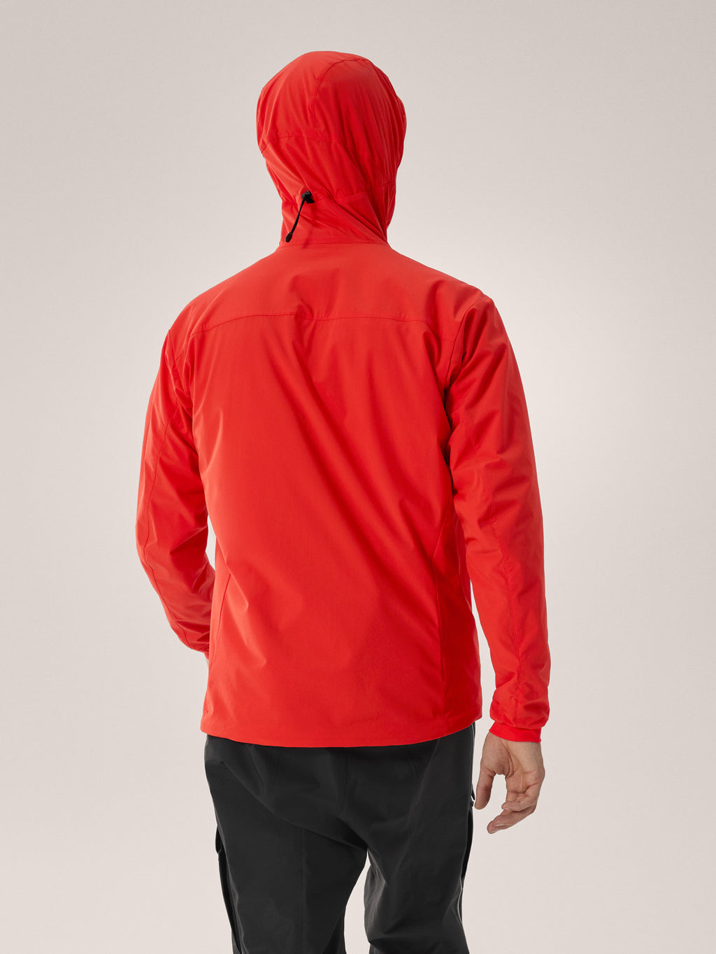Practitioner AR Hoody Dynasty Back View