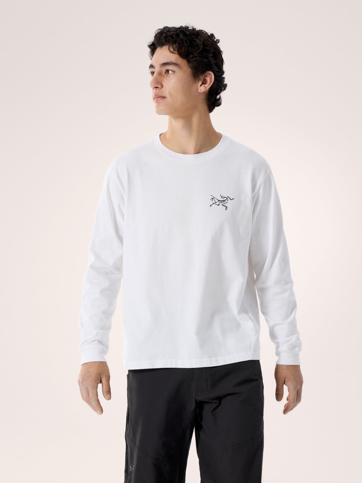 White Light / Black