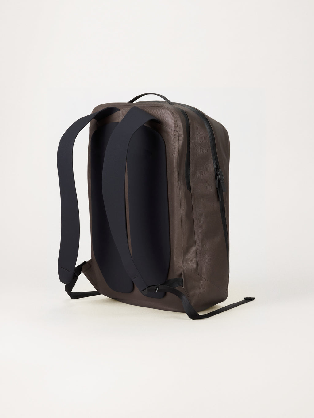 Anodic Backpack Sable Back