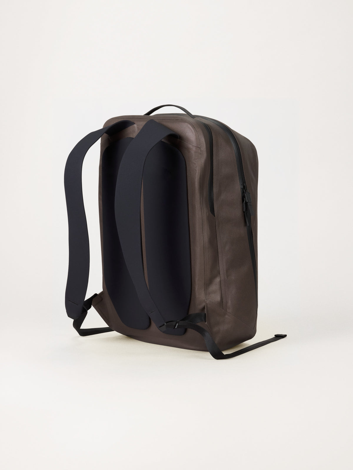 Anodic Backpack Sable Back