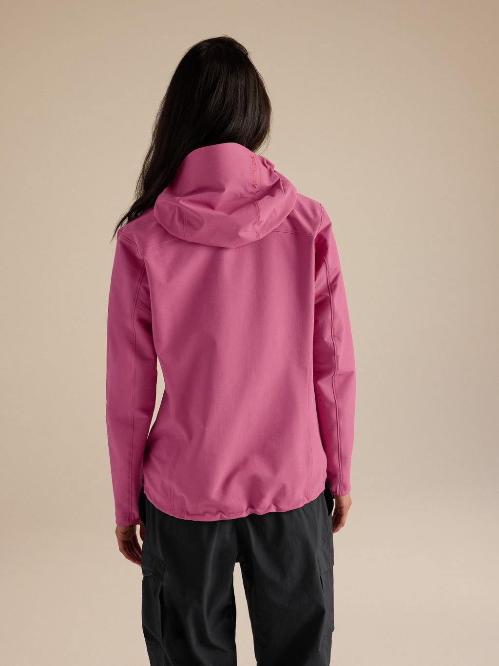 Gamma Hoody Women's Lt Renegade Back View