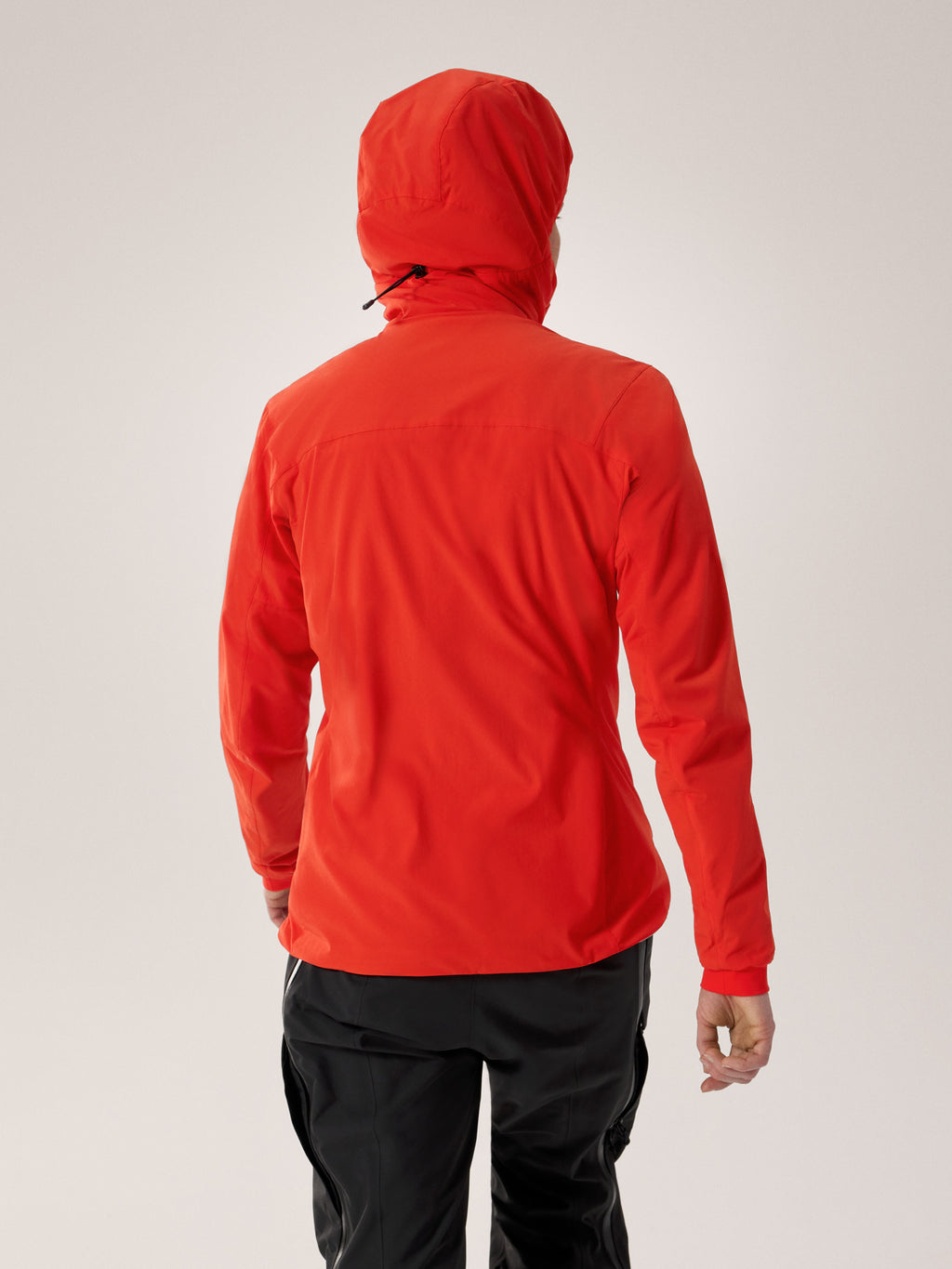 Practitioner AR Hoody Women's Dynasty Back View