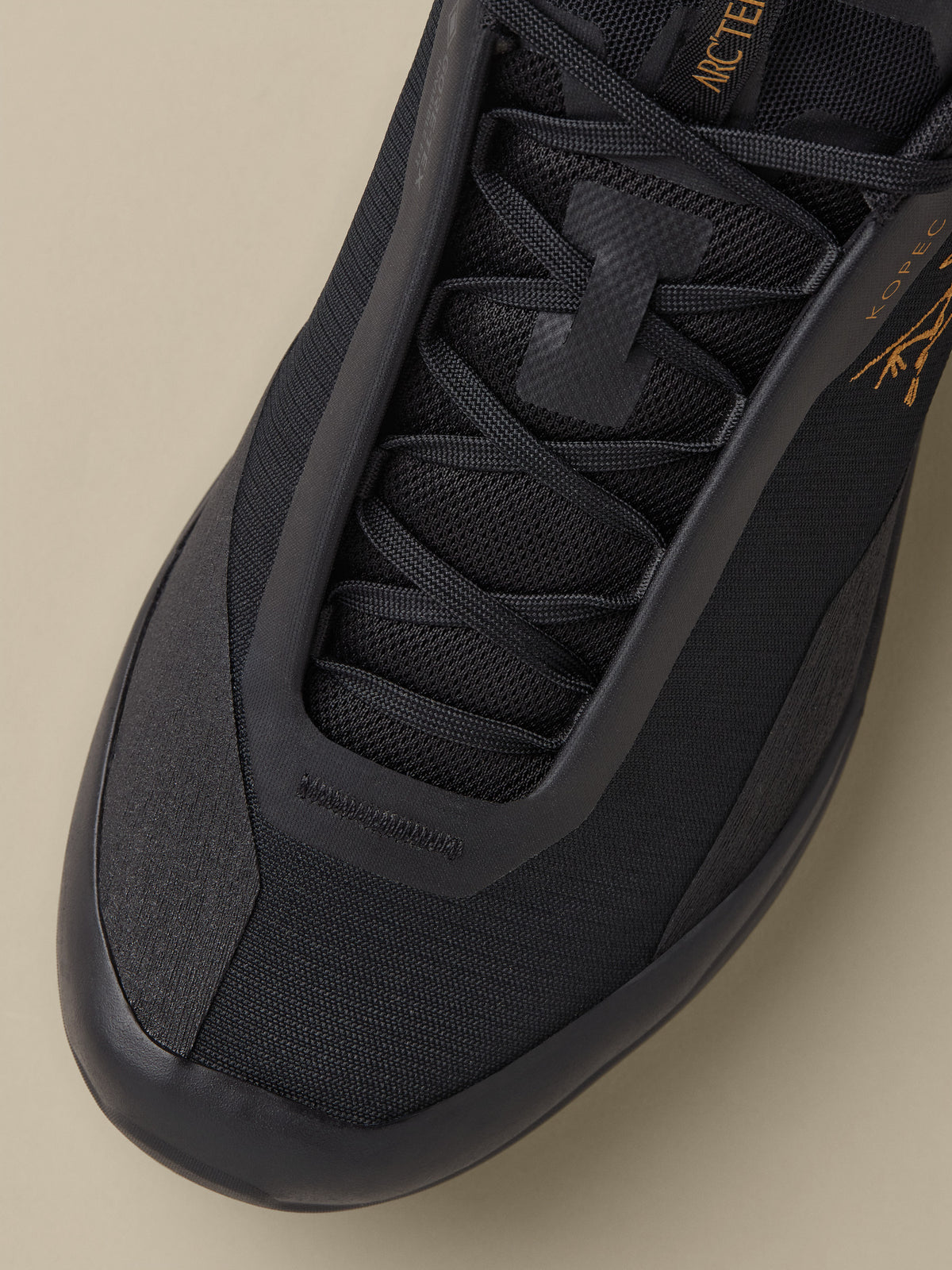 Kopec 2 Low GTX Shoe Black/Black Hover