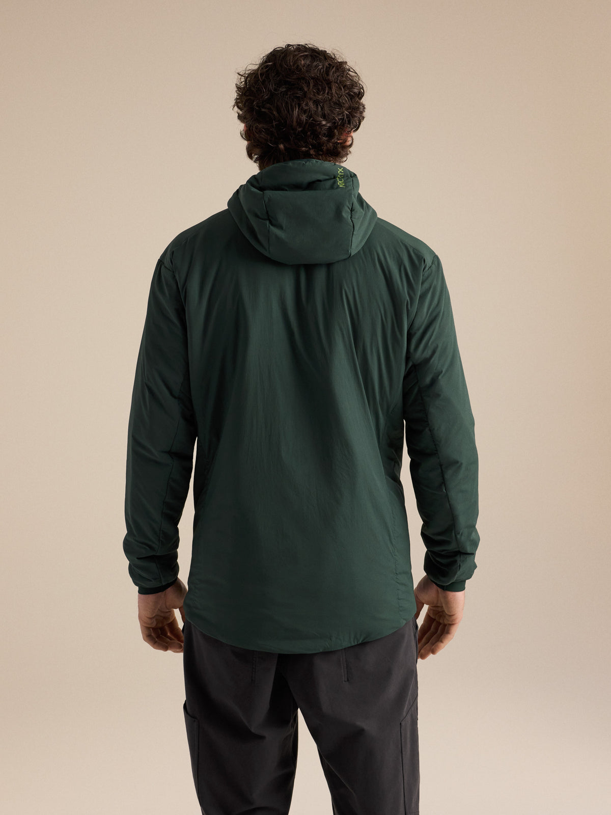 Proton Hoody Dark Jade / Mongoose Back View