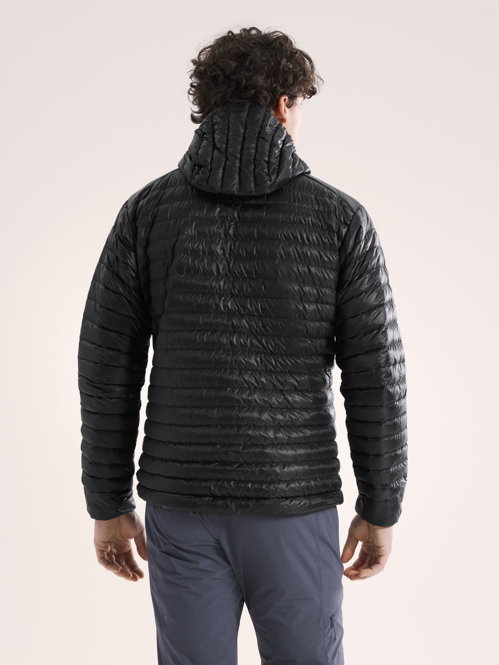 Cerium SL Hoody Black Back View