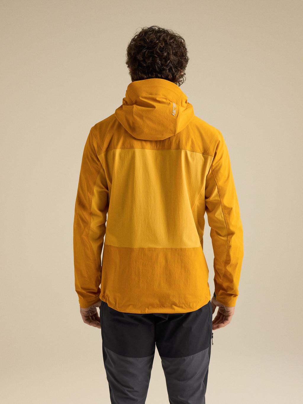 Serratus Hoody Nucleus / Larch Back View