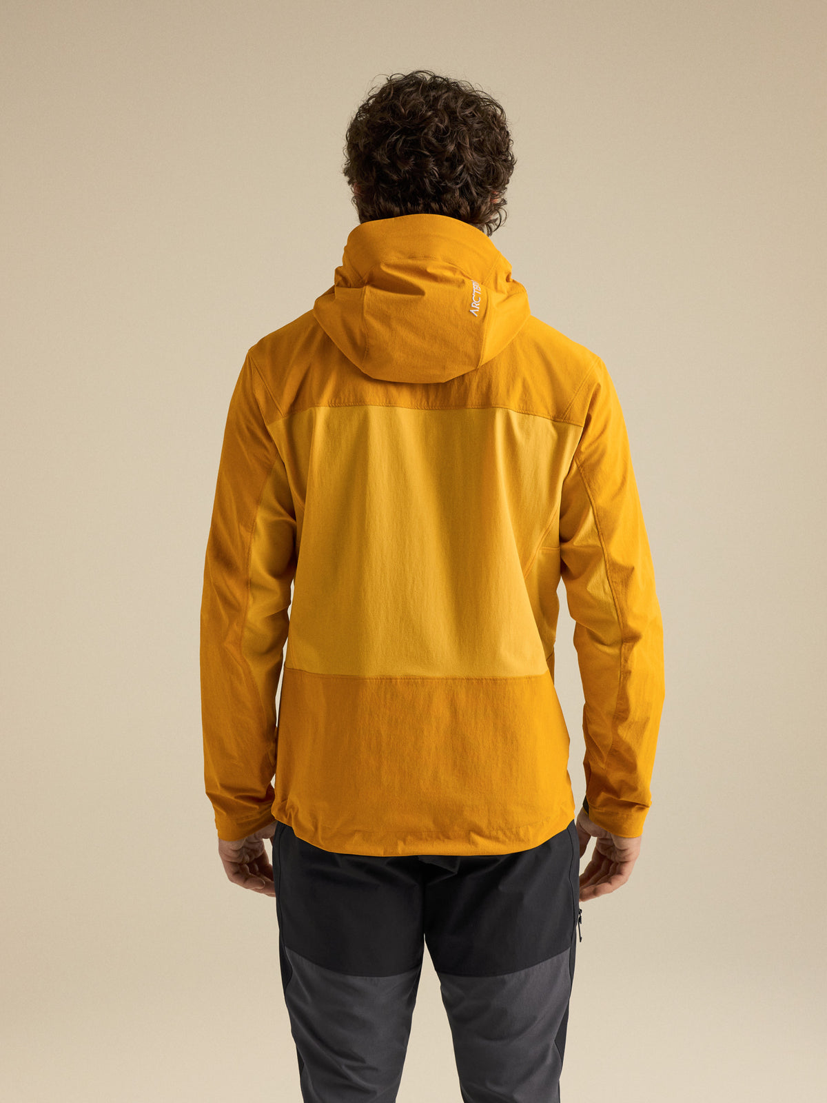 Serratus Hoody Nucleus / Larch Back View