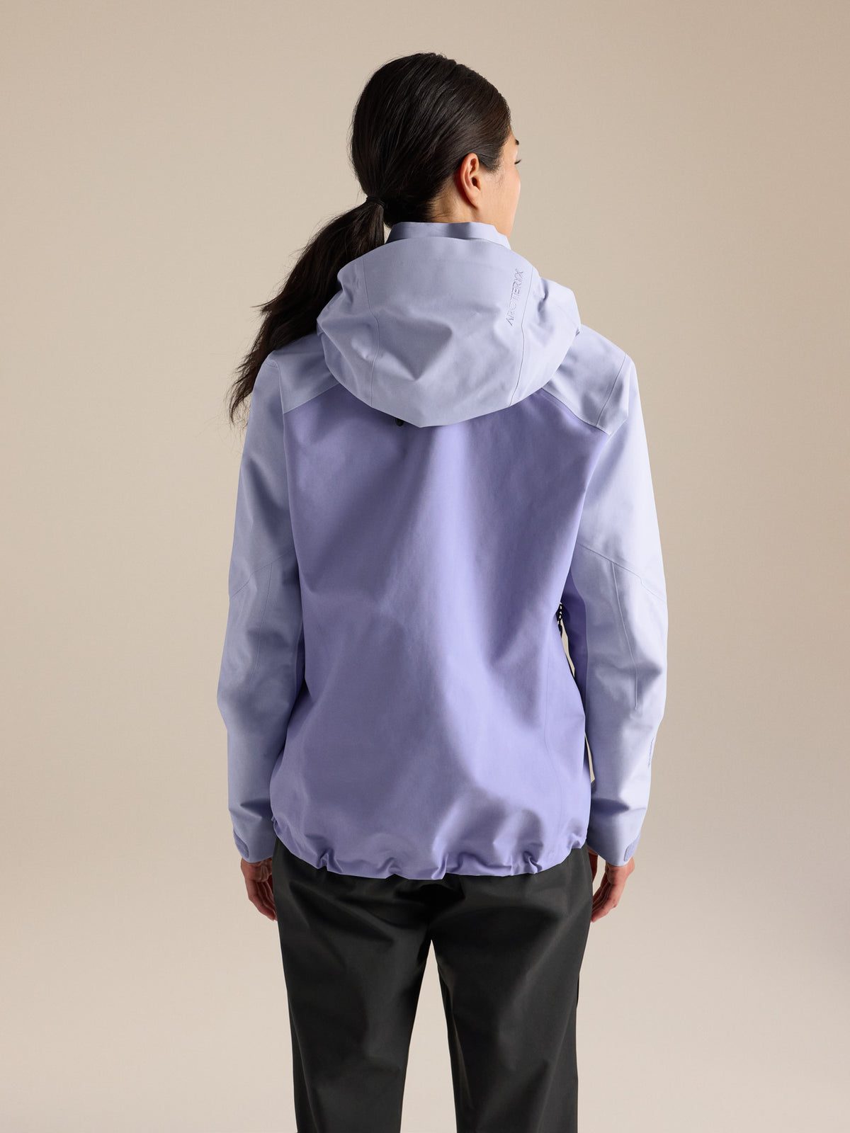 Beta AR Jacket Women's Kasumi / Moonstone Back View